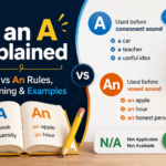 N an A Explained | A vs An Rules, Meaning & Examples